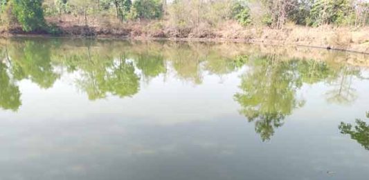पाथरज गावाला मृत म्हशींमुळे दूषित पाणीपुरवठा