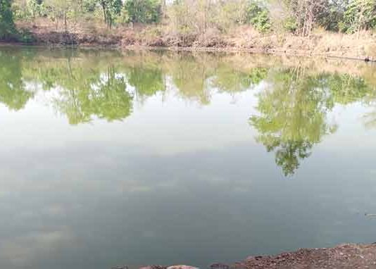 पाथरज गावाला मृत म्हशींमुळे दूषित पाणीपुरवठा