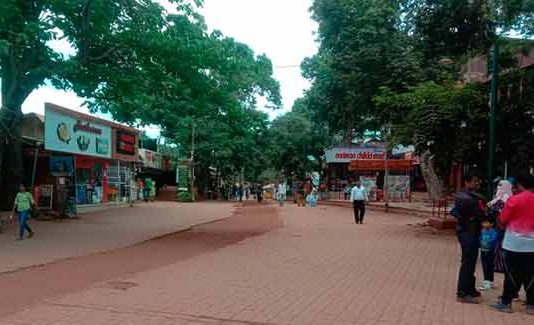 माथेरानमध्ये अश्वपाल संघटनेचे आंदोलन