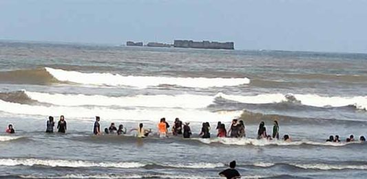 मुरुड समुद्रात तीन महिने डॉल्फिनचे दर्शन नाही