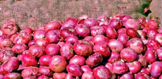 Onion Export: १५ रुपयांचा कांदा परदेशात चक्क १२० रुपयांना!