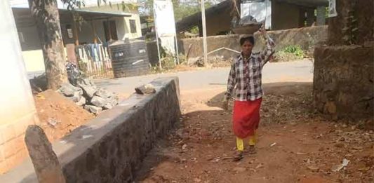 सार्वजनिक रस्त्यात अडथळा; पिंगळस ग्रामपंचायतीचा कानाडोळा