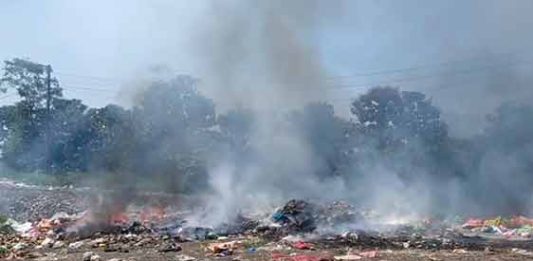 शहापुरात पर्यावरणाचा ऱ्हास