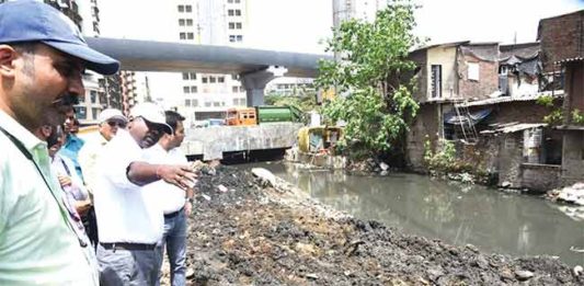 पश्चिम उपनगरातील कामांचा पालिकेकडून आढावा