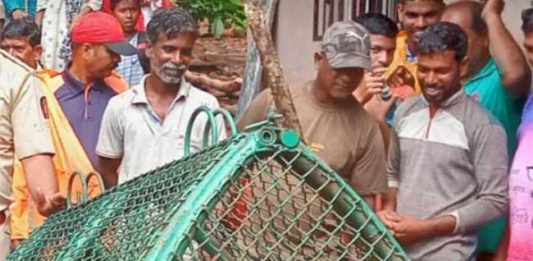 घरात घुसून बिबट्याचा महिलेवर हल्ला