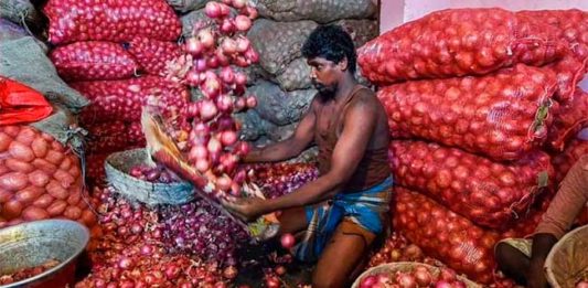 Onion Price Hike : महाराष्ट्रात कांदा महागणार? कापणीपूर्वी आलेल्या अवकाळीने केले नुकसान