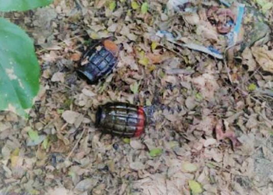 अयोध्येत कचरा कुंडीत आढळले १८ हँड ग्रेनेड