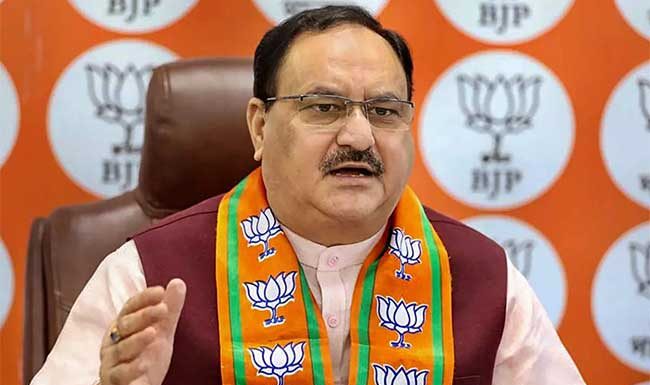 फडणवीसांनी उपमुख्यमंत्रीपद घ्यावे; नड्डा