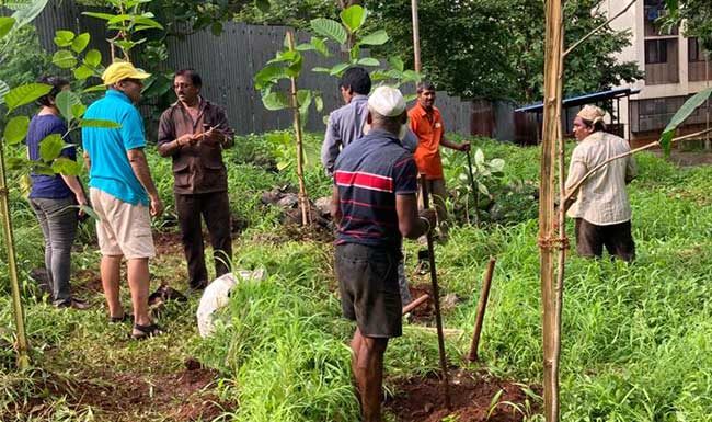 लोकनिसर्ग सोसायटीतले ‘ऑक्सिजन गार्डन’