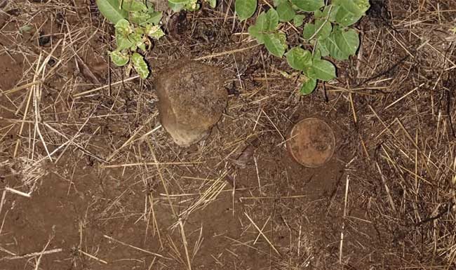 माणगावात सापडले आठ जिवंत गावठी बॉम्ब