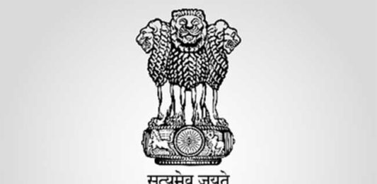 अतिरिक्त मागणी पूर्ण करण्यासाठी पेट्रोल आणि डिझेलचा पुरेसा पुरवठा : मंत्रालय