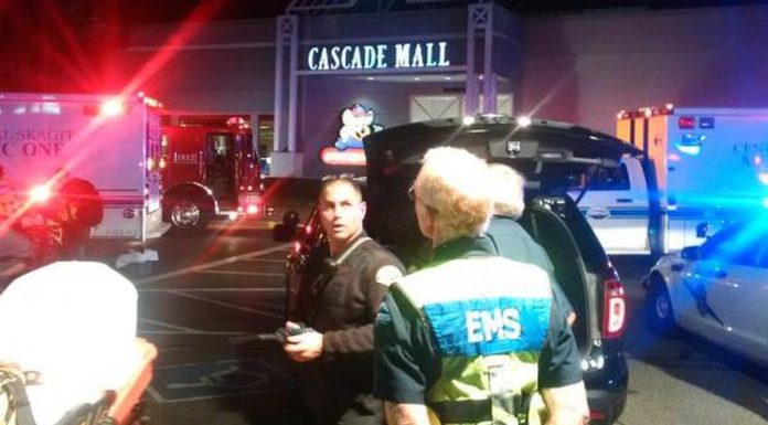 अमेरिकेत मॉलमधील गोळीबारात हल्लेखोरासह चौघांचा मृत्यू