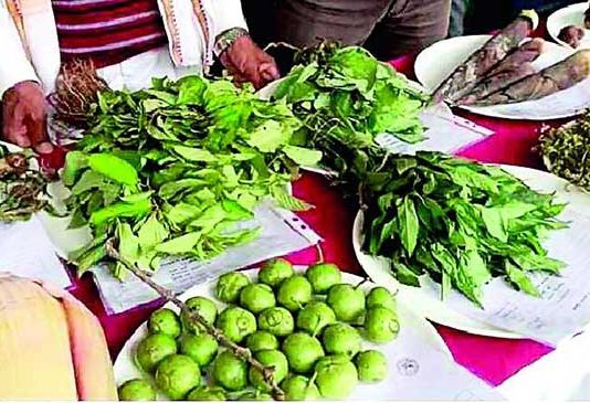 रानभाज्या खरेदीसाठी पेणमध्ये नागरिकांनी केली गर्दी