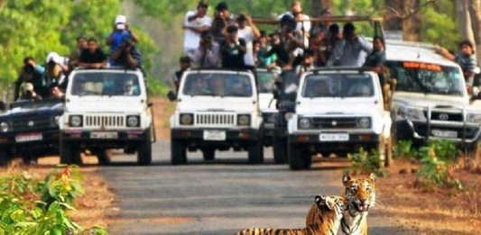ताडोबा व्याघ्र प्रकल्पाने भूषवले राष्ट्रीय जागतिक व्याघ्र दिन सोहळा २०२२ चे यजमानपद
