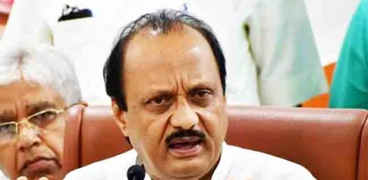 Maharashtra Budget 2025 : महाराष्ट्रात वीज स्वस्त होणार!