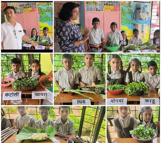 सफाळेतील विद्यार्थ्यांच्या माहितीसाठी शाळेत भरविला रानभाज्यांचा महोत्सव