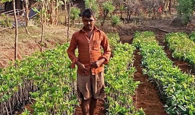 जव्हार आदिवासी भागात ‘‘वाडी मॉडेलचे’’ प्रायोगिक उपक्रम