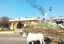 अहिल्यानगर जिल्ह्यातील १३ कारखान्यांकडून ३७ लाख ३७ हजार मे. टनाचे गाळप