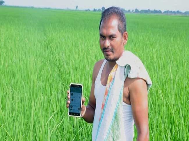 Multilayer Farming : शेतीतून ७ पट नफा मिळविण्याचे खास तंत्र, जाणून घ्या कमी जमिनीतून कसे कमावता येते अधिक उत्पन्न..