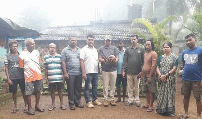 दोडामार्ग बनतोय दुर्मीळ खवल्या मांजराचे संवर्धन करणारी भूमी