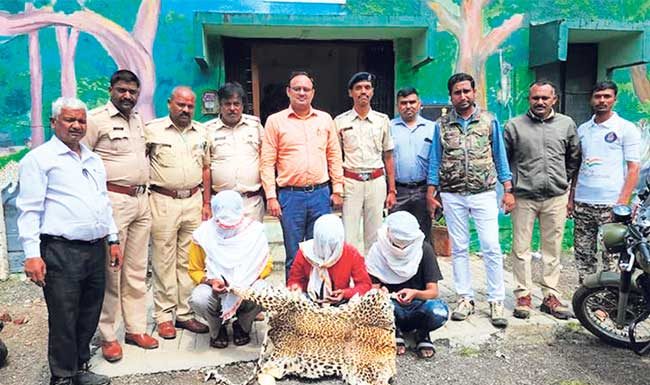 झटपट श्रीमंत होण्यासाठी वापरला तस्करीचा मार्ग; ‘त्या’ युवकांना चार दिवसाची वन कोठडी