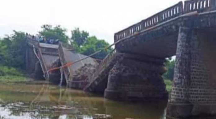 महाराष्ट्र-गुजरातला जोडणारा रंका नदीवरील धानोरा पूल कोसळला