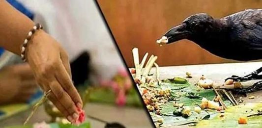 पितृऋणातून उतराईचा काळ