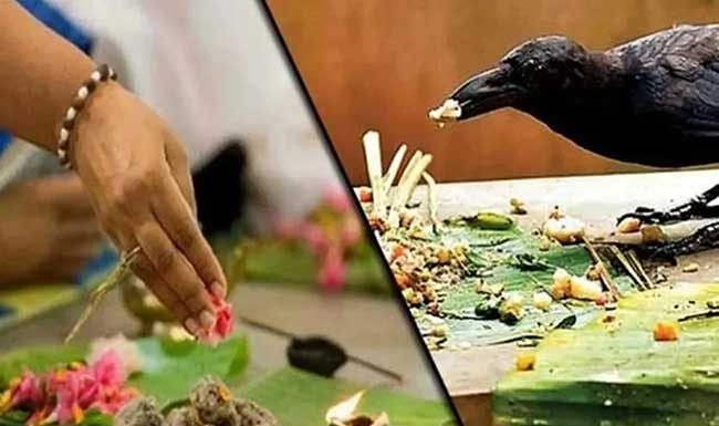 पितृऋणातून उतराईचा काळ