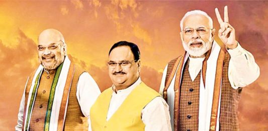 भाजपाची उंच भरारी...