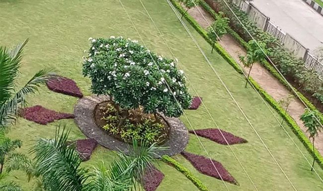 मुलुंडमध्ये शोभेच्या झाडांची रांगोळी