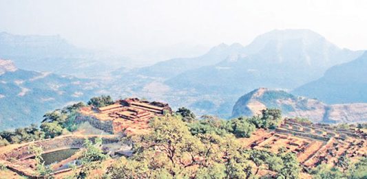 किल्ले रायगडच्या विकासासाठी ३५ कोटी