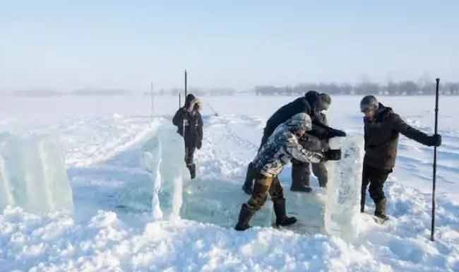 Zombie virus : रशियात झोम्बी व्हायरस सापडला; फ्रेंच शास्त्रज्ञांकडून पुनरुज्जीवित