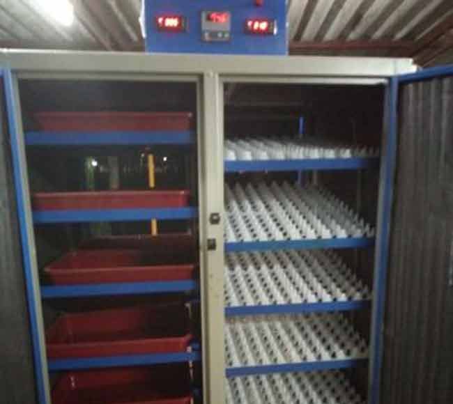 hatching machine : खराब फ्रीजपासून बनवले हॅचिंग मशीन