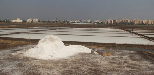 Salt: जगात कोणत्या देशात होते मीठाचे सर्वाधिक उत्पादन, पाहा भारताचा कितवा नंबर
