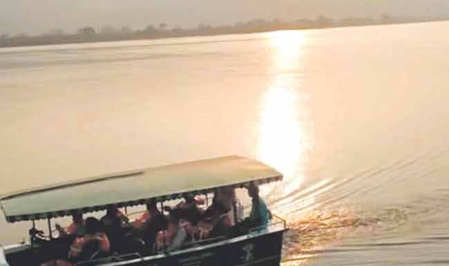 Dabhol Bay Kandal Forest Conservation : सुंदर खाडी, फिरायला होडी’ स्थानिकांची संकल्पना यशस्वी