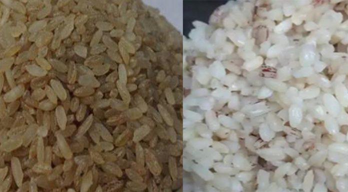 polished की unpolished तांदूळ, दोघांपैकी कोणता आहे जास्त हेल्दी?