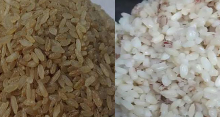 polished की unpolished तांदूळ, दोघांपैकी कोणता आहे जास्त हेल्दी?