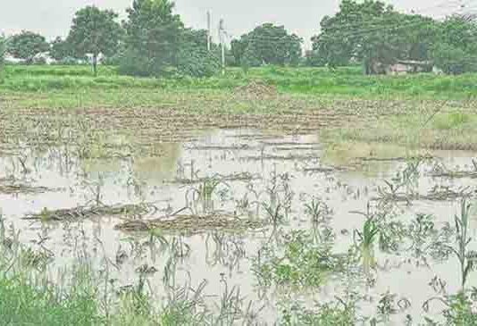 मराठवाड्यातील काही जिल्ह्यात अतिवृष्टी