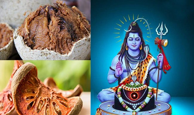 महाशिवरात्रीचा आरोग्यदायी दृष्टिकोन- वाचा बेल आणि कवठाचे फायदे