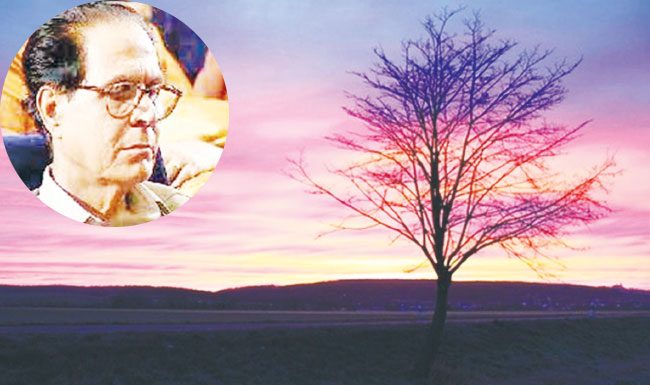 आज हृदय मम विशाल झाले...