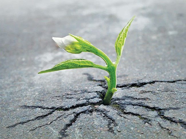 संघर्ष...