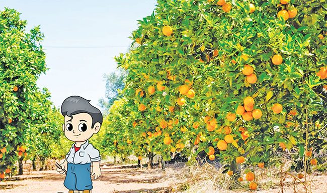 आज्ञाधारक सूरज