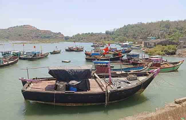 मत्स्य विद्यापीठ कोकणातच व्हायला हवे