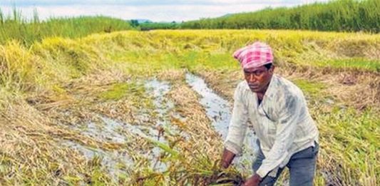 Rain Alert : पुढील ४८ तासांत महाराष्ट्रासह ‘या’ राज्यात अवकाळी पाऊस!