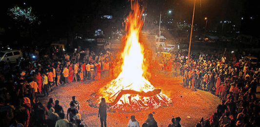 ‘होळी’ सणाच्या कालावधीत वृक्षतोड करू नये - बीएमसी