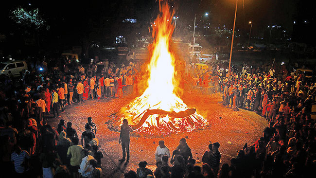‘होळी’ सणाच्या कालावधीत वृक्षतोड करू नये – बीएमसी