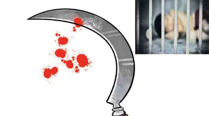 कोयता गॅंगची दहशत कायम; कोयते नाचवत शिवीगाळ, एकास मारहाण