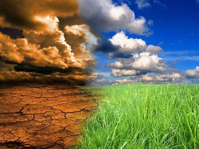 हवामान बदलांमुळे २०२४ ठरले सर्वाधिक उष्ण वर्ष