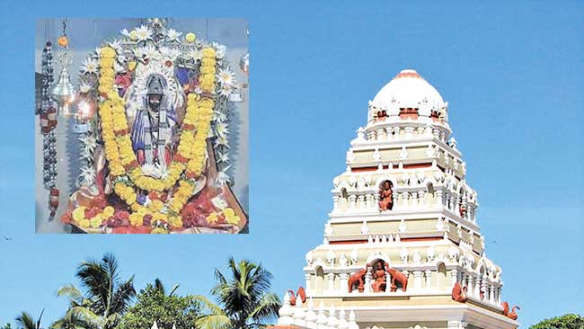 देवी नवदुर्गा