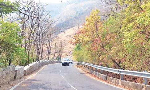 माथेरानमध्ये भरलाय निसर्गाचा रंगोत्सव…